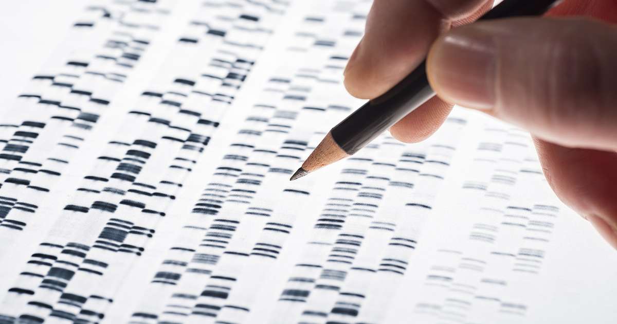 how-accurate-is-ancestry-dna-matches-root-to-branches