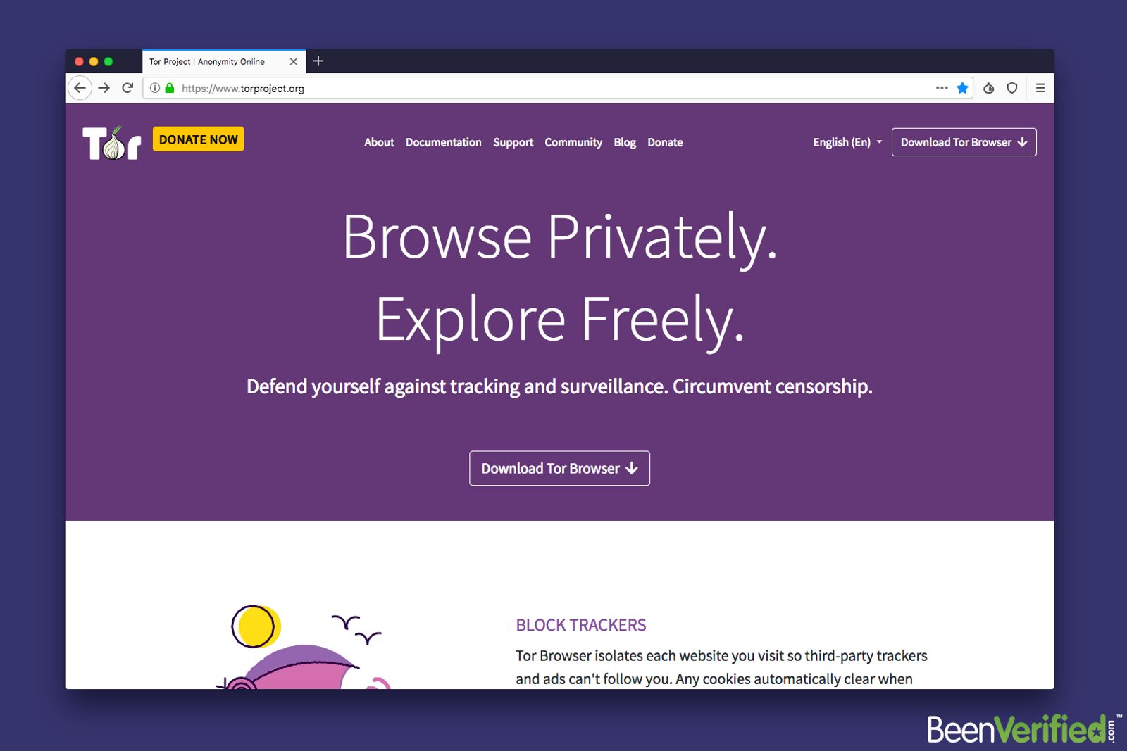 Tor browser not loading pages hydra2web все плюсы и минусы конопли