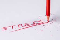 Stress Levels Are On The Rise: Healthy, Productive Ways To Cope
