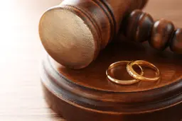 The Evolution Of Marriage And Divorce In America
